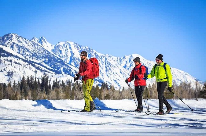 4 Hour Beginner Cross Country Skiing in Grand Teton - Should You Book 4-Hour Beginner Skiing in Grand Teton?