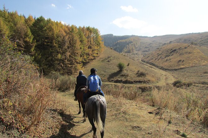 5 days sightseeing and skiing trip in Kyrgyzstan - Karakol: the mountain town that earns its break from skiing and driving