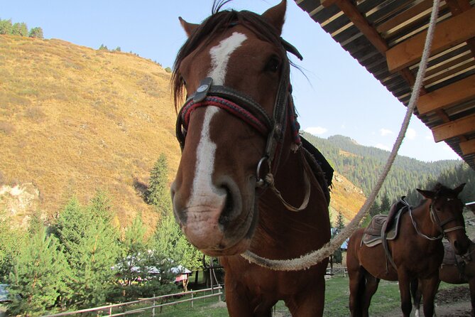 5 days sightseeing and skiing trip in Kyrgyzstan - Dungan Mosque in Karakol: a quick cultural contrast stop