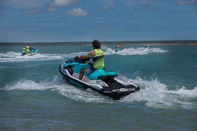 75-minute Die Another Day Jet Skiing in Darwin - Wildlife watch: dolphins, sea turtles, seabirds, and what to actually do
