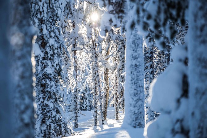 Backcountry skiing adventure - What’s included, and how that affects your cost