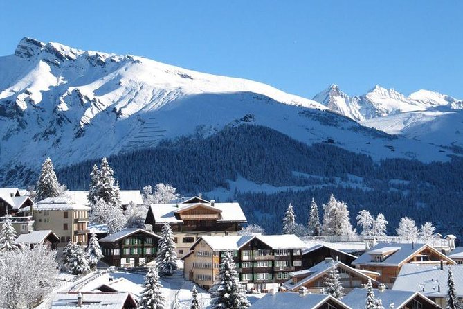 Bakuriani ski resort and the legendary Borjomi (Group Tour) - Why Bakuriani and Borjomi work as a paired winter day