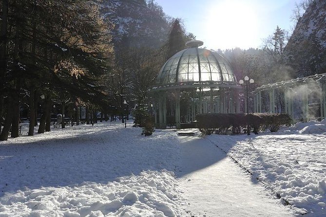 Bakuriani ski resort and the legendary Borjomi (Group Tour) - The cost picture: what $55 buys, and the add-ons that can sneak up