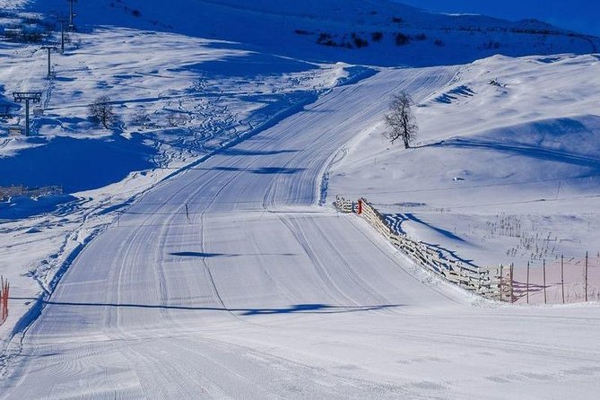 Bakuriani ski resort and the legendary Borjomi (Group Tour) - Group size and timing: why 11 hours can still feel manageable