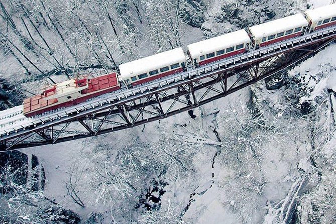 Bakuriani ski resort and the legendary Borjomi (Group Tour) - The Tbilisi-to-snow flow: comfortable driving, then real winter