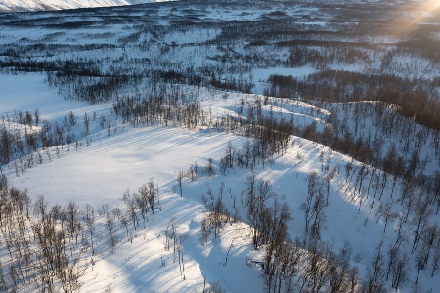 Breivikeidet: Cross-Country Skiing & Husky Visit - Tromsø to Breivikeidet: The Bus Ride That Feels Like a Warm-Up