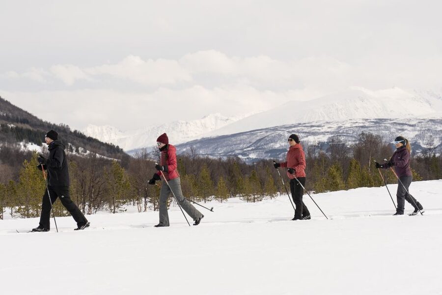 Breivikeidet: Cross-Country Skiing & Husky Visit - Price and Value: What $145 Covers (and Why It’s Not Just Transportation)