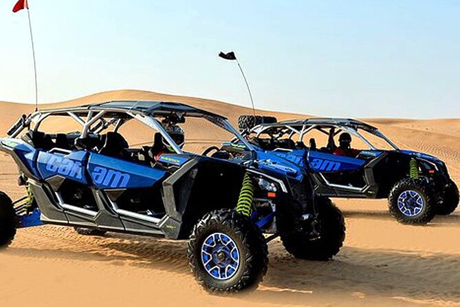 CAN-AM Buggy 04 Seater with Camel Riding and Sand Skiing - Quick Hits Before You Go: What Matters Most