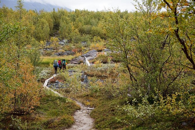 Classic Wilderness Skiing in the Pyhä-Luosto National Park - Key highlights you should care about