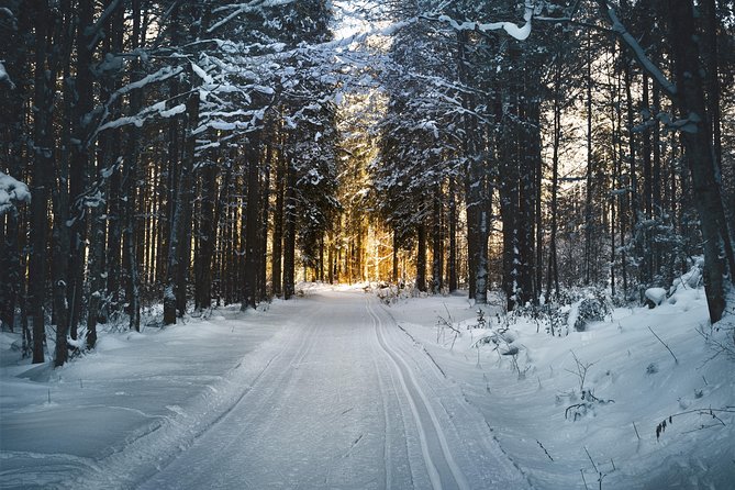Cross-Country Skiing Guided Tour From Prague - Round-trip transfer back to Prague around 6pm