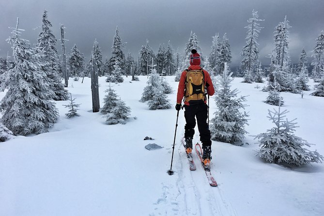 Cross-Country Skiing Guided Tour From Prague - Who this Prague cross-country ski day fits best