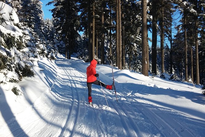 Cross-Country Skiing Guided Tour From Prague - Five hours of skiing in the Jizera Mountains (and why the route design matters)