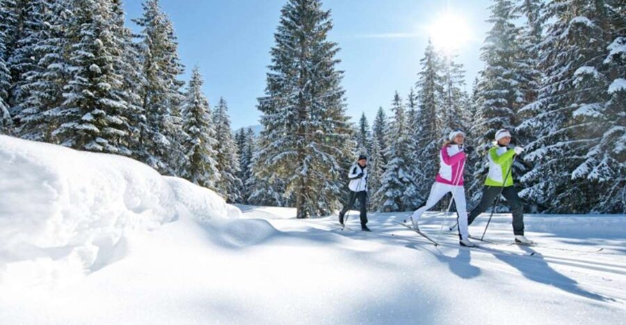 Cross Country Skiing Lessons for Beginners (Feldberg) - Gear at the Ski School: What’s Covered and What to Double-Check