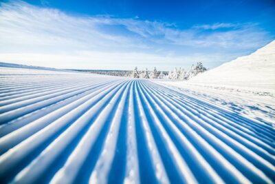Cross-Country Skiing Trip - The Beginner Lesson: Grooves, Balance, and Patient Coaching