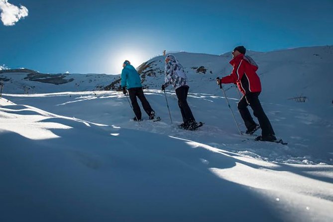 Day tour to Ski Resort to Shahdag - Private tour to Beautiful Nature - Key Points at a Glance