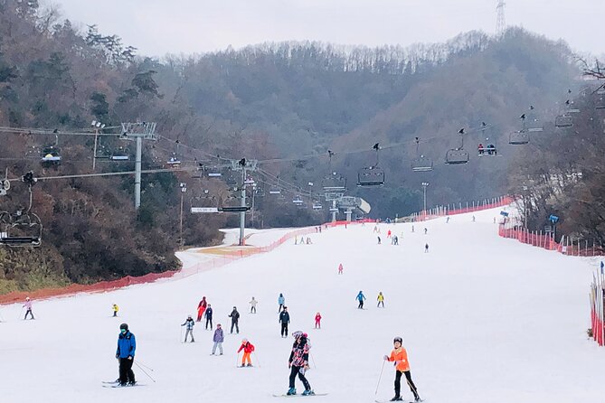 Eobi Ice Valley / Elysian Ski Resort / Nami Island - From Seoul to Elysian: How the Day Starts