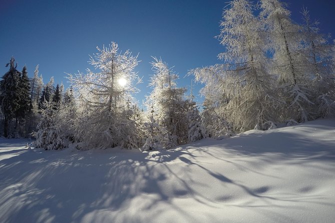From Krakow: Siepraw Skiing for Beginners - Drivers and Instructors: The Human Touch That Makes It Worth It
