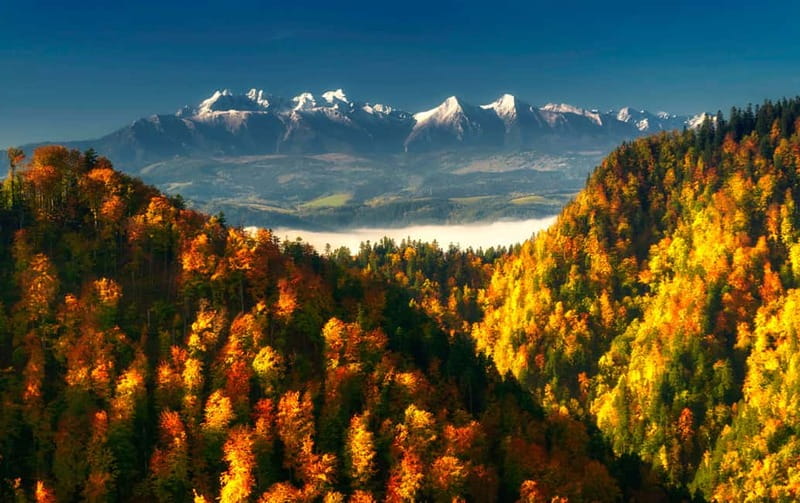 From Kraków: Witów Skiing and Zakopane Tour - Krupowki Street Bazar Time: Shopping, Snacks, and Mountain Town Energy
