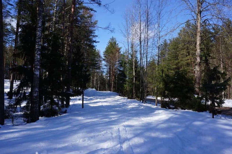 From Riga: Cross-country skiing and beating heart memorial - Key highlights to look for