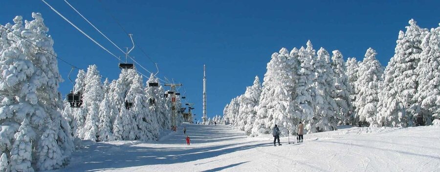 From Tbilisi: Borjomi and Bakuriani Ski resort Day Trip ❄️☃️ - Key takeaways before you go