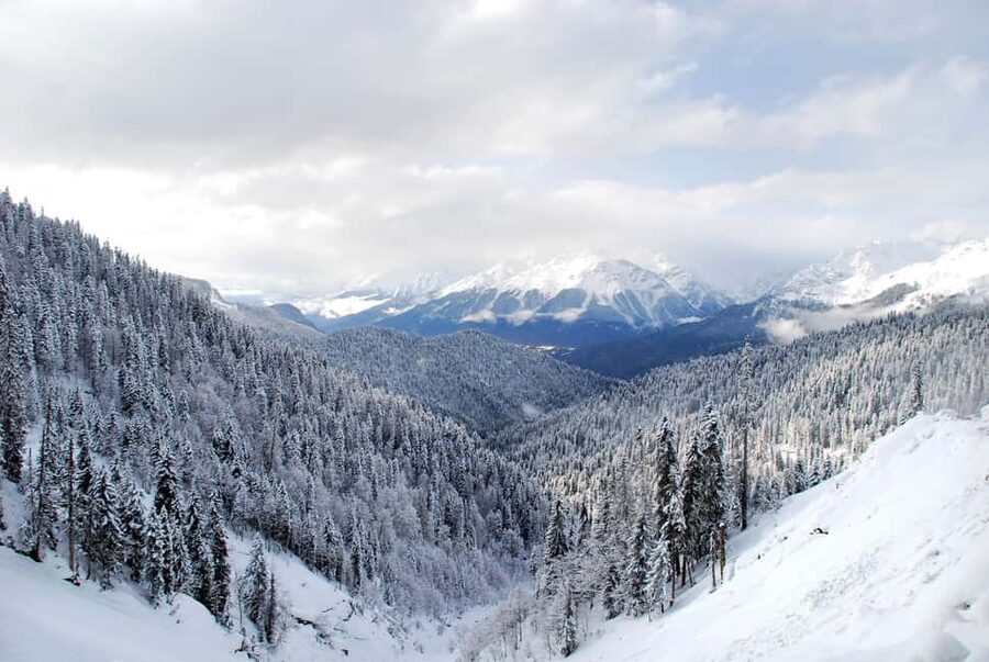 From Tbilisi: Borjomi and Bakuriani Ski resort Day Trip ❄️☃️ - What I’d pack to make this day smoother
