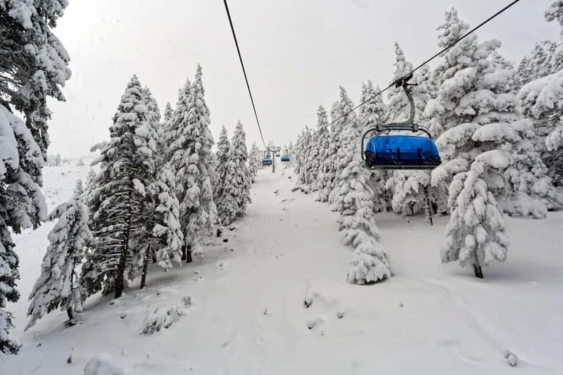 From Tbilisi: Borjomi and Bakuriani Ski Resort Private Tour - Key things to love about this Borjomi + Bakuriani day