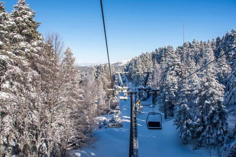 From Tbilisi: Borjomi and Bakuriani Ski Resort Private Tour - Why This Borjomi + Bakuriani Private Day From Tbilisi Works