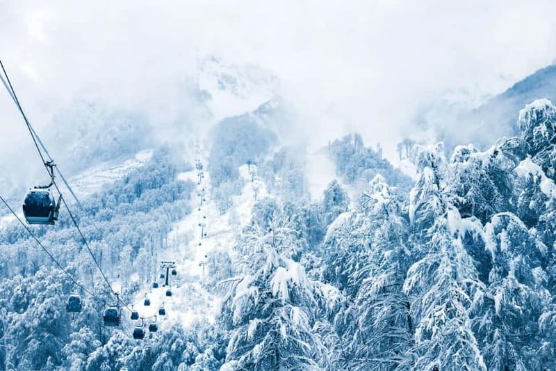 From Tbilisi: Borjomi and Bakuriani Ski Resort Private Tour - Borjomi Central Park: Mineral Water at the Source