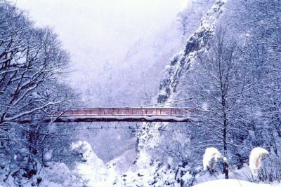 Full Day Private Skiing / Snowboarding Tour in Sapporo - Skiing and snowboarding day plan: what you can expect on the mountain