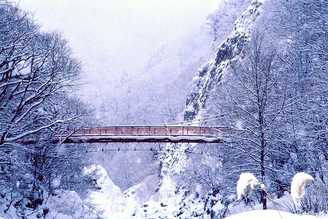 Full Day Private Skiing / Snowboarding Tour in Sapporo - Skiing and snowboarding day plan: what you can expect on the mountain