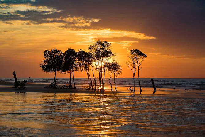 Golden Eye Sunset Jet Skiing in Darwin - Who should book this jet ski sunset tour (and who should think twice)