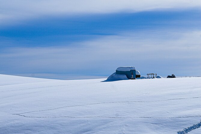 Gudauri Adventures - One Day Private Tour to Gudauri Ski Resort - Private transport and an English-speaking driver-guide (Levan)