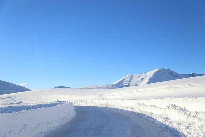 Gudauri Ski Resort day tour from Tbilisi - Is it worth $100? A value check for private transport and site time