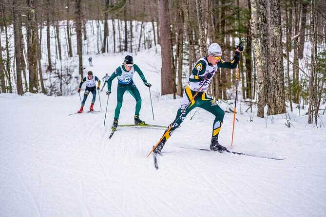 Guided Cross Country Skiing at Lake Tahoe - Value for your time: why this works better than going solo