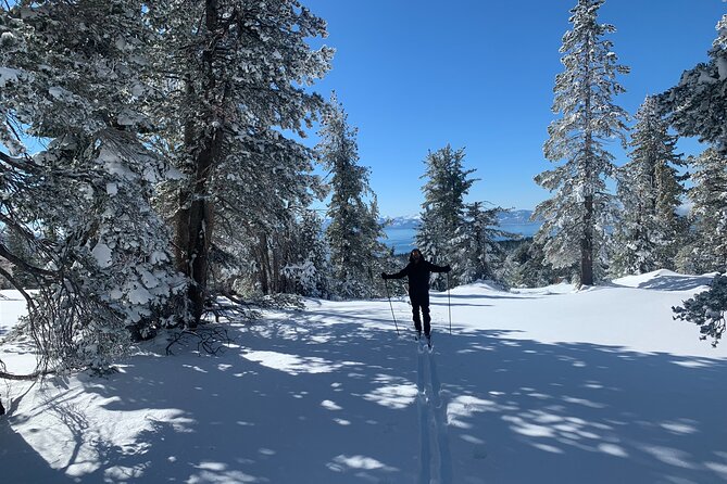 Guided Cross Country Skiing at Lake Tahoe - Choosing the trail at Lake Tahoe (Nevada) based on ability