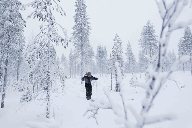 Half-Day Backcountry Skiing Tour in Levi with Photography Guide - Price and What You’re Actually Paying For