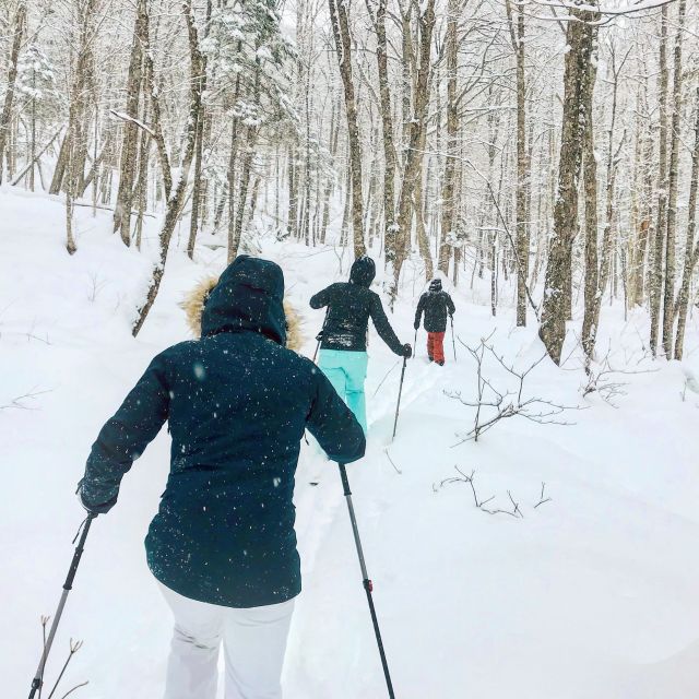 Jacques-Cartier National Park: Skiing Excursion - Arriving at the Main Lodge: Gear Up and Learn Fast