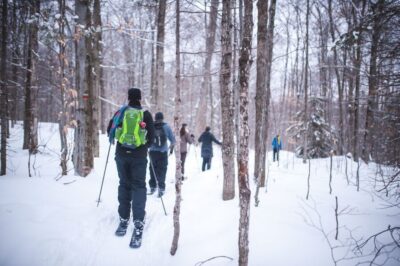 Jacques-Cartier National Park: Skiing Excursion - Quebec City Pickup: Place d’Armes or Gare du Palais