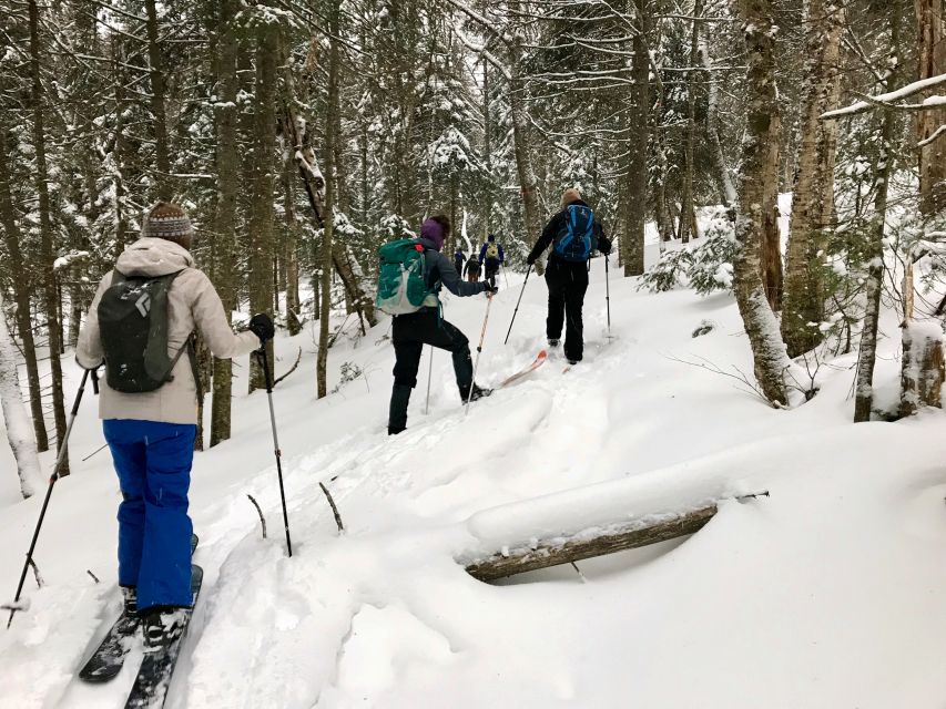 Jacques-Cartier National Park: Skiing Excursion - Out on Quiet Trails: Technique, Forest Talk, and Your Pace