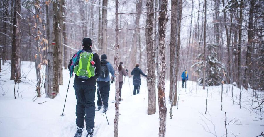 Jacques-Cartier National Park: Skiing Excursion - Lunch and Hot Chocolate: The Midday Reset You’ll Appreciate