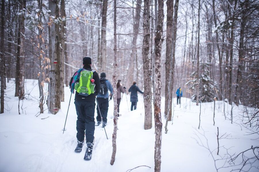 Jacques-Cartier National Park: Skiing Excursion - Quebec City Pickup: Place d’Armes or Gare du Palais