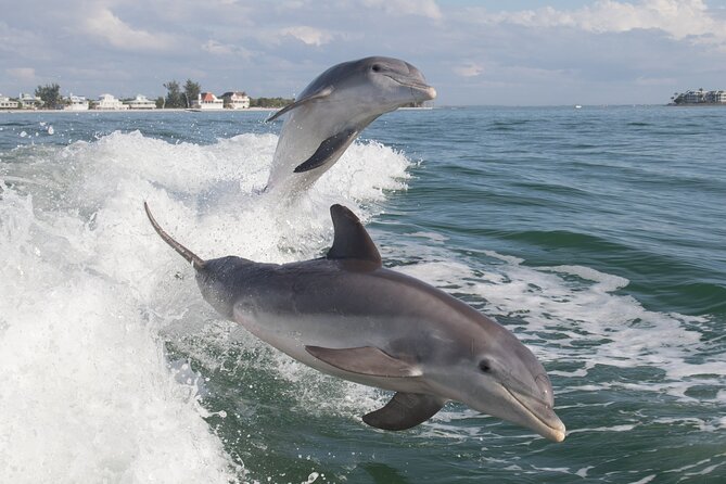Jet Ski Rental from Fort Myers Beach to Sanibel - Price and What You Get for $150 (Up to 2 People)