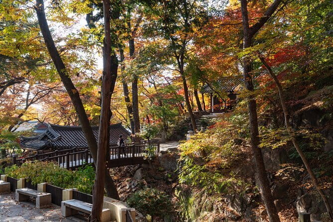 Jisan Forest Ski Resort and Everland 1 Day Tour - Price and what you’re really paying for at $58.83