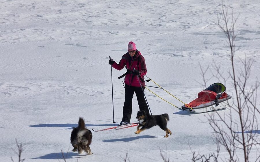 Kiruna: Cross-Country Skiing Tour with a Guide - Kiruna cross-country skiing: Arctic winter, guided so you don’t waste time