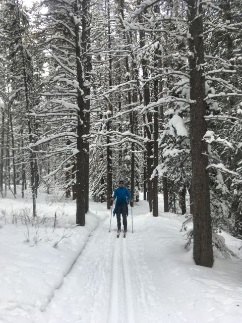 Lake Louise: Cross Country Skiing Lesson with Tour - Two guided skiing stretches near Lake Louise