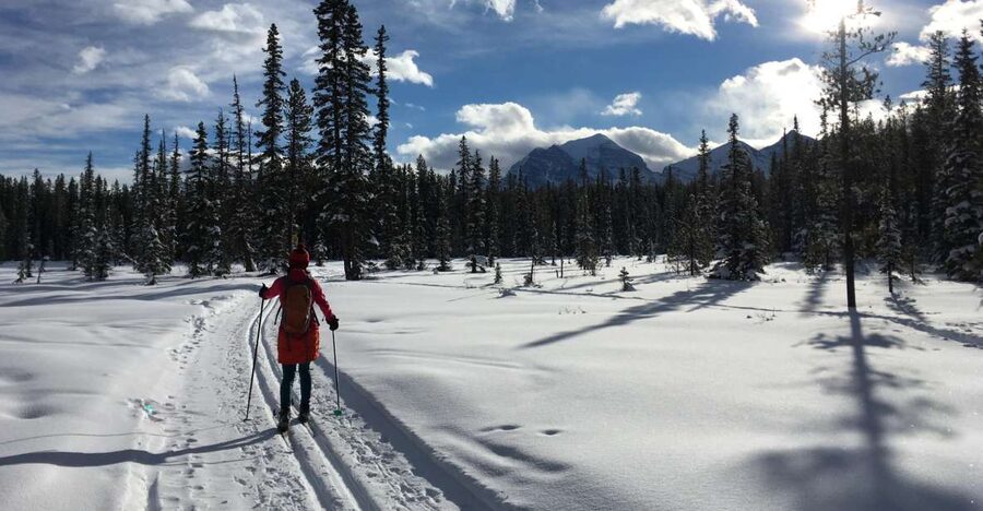 Lake Louise: Cross Country Skiing Lesson with Tour - Equipment planning: waxless skis and realistic rental costs