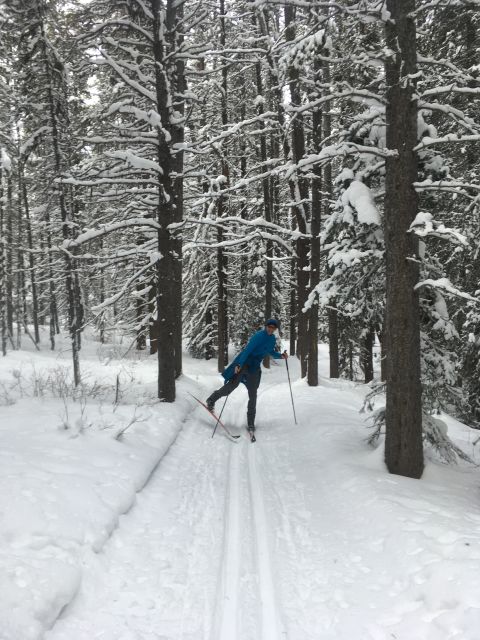 Lake Louise: Cross Country Skiing Lesson with Tour - Who this tour is best for (and who should skip it)