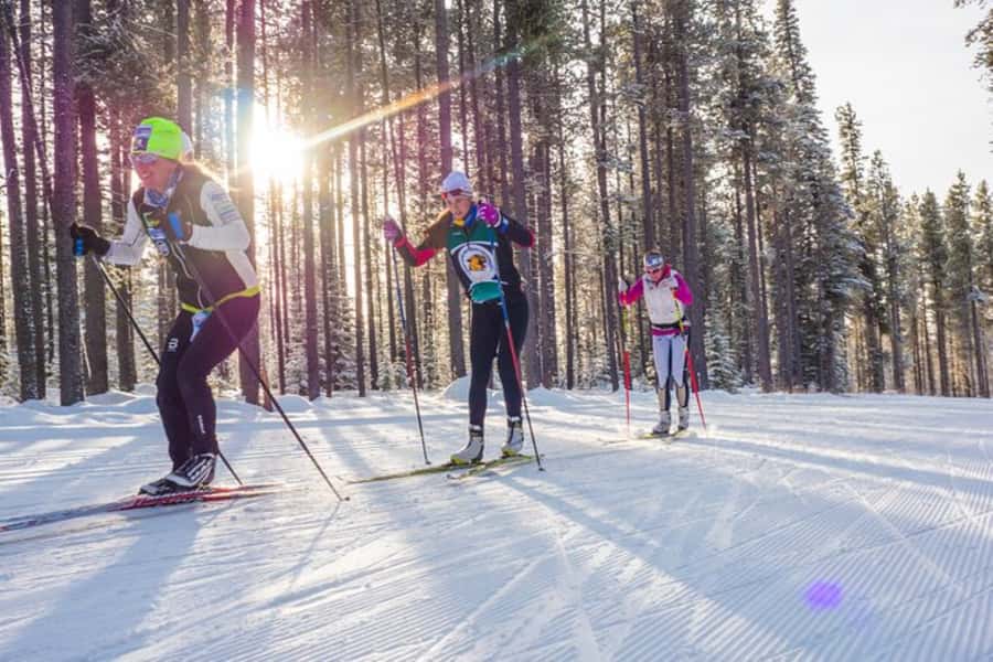 Lake Tahoe: Guided Cross Country Skiing Tour - Quick hits on this Lake Tahoe ski lesson