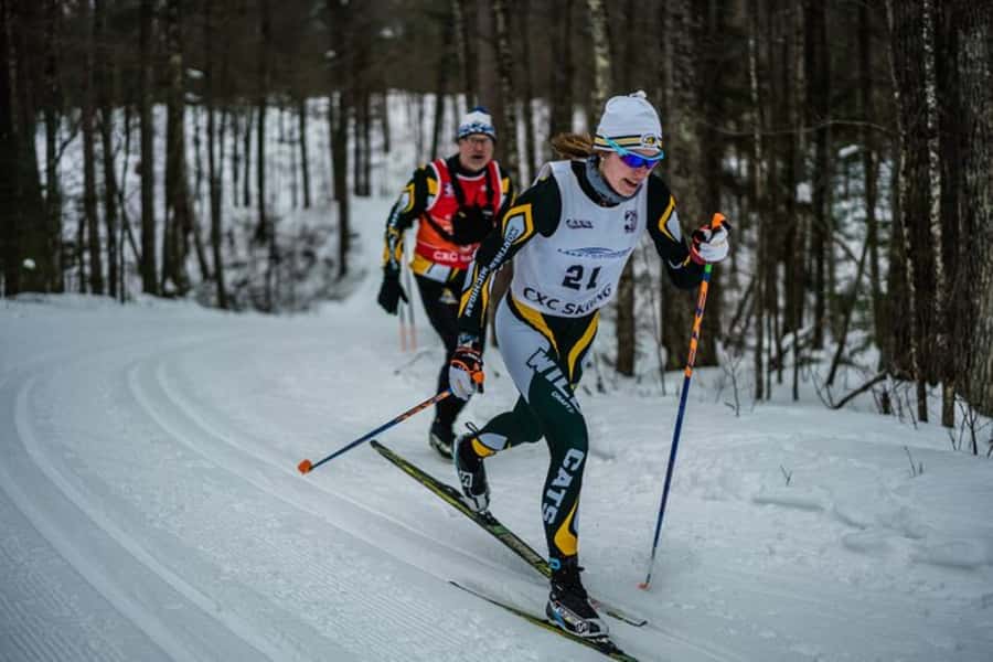 Lake Tahoe: Guided Cross Country Skiing Tour - Price and value: what $163 includes in real terms