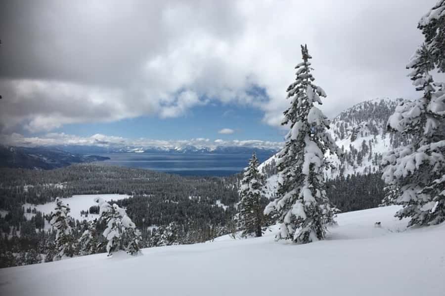 Lake Tahoe: Guided Cross Country Skiing Tour - Your first glide: what you learn on skis and poles